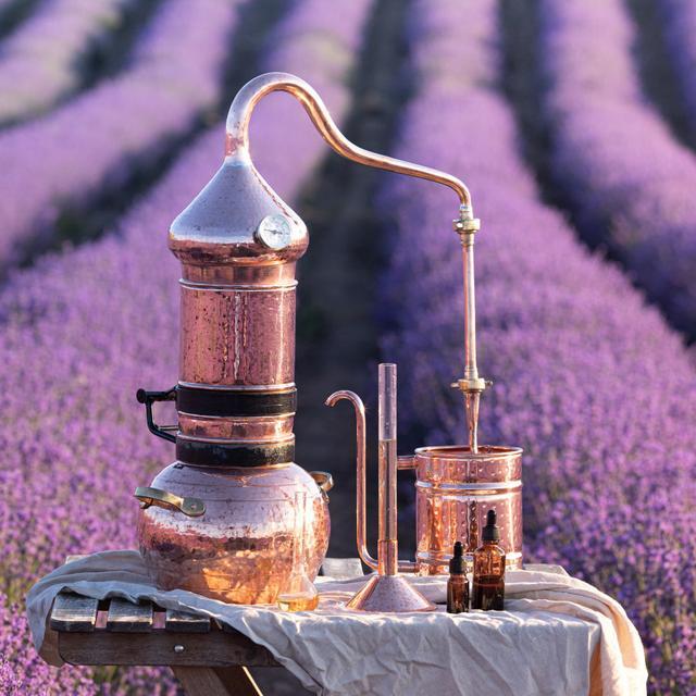 Image for Aceites esenciales y sus beneficios para la salud
