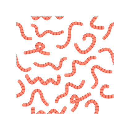 Elmintiasi (infestazione da vermi)
