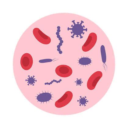 Staphylococcus aureus (emolitico)